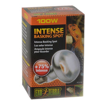 Load image into Gallery viewer, Exo-Terra Sun Glo Tight Beam Basking Spot Lamps