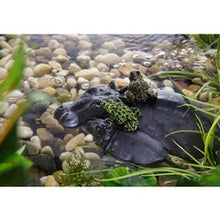 Load image into Gallery viewer, Exo Terra Turtle Island Hippo