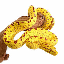 Load image into Gallery viewer, Yellow Biak Green Tree Python