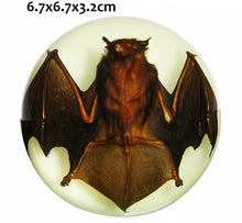 Load image into Gallery viewer, Brown Bat Paperweight