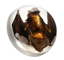 Load image into Gallery viewer, Brown Bat Paperweight