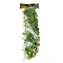Load image into Gallery viewer, Exo-Terra Amapallo Forest Shrub