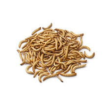 Load image into Gallery viewer, Live Mealworms