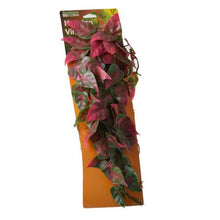 Load image into Gallery viewer, Reptology Climber Vine - Red/Green