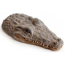 Load image into Gallery viewer, Exo Terra Turtle Island Croc